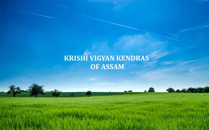 Krishi Vigyan Kendras Assam (KVK)